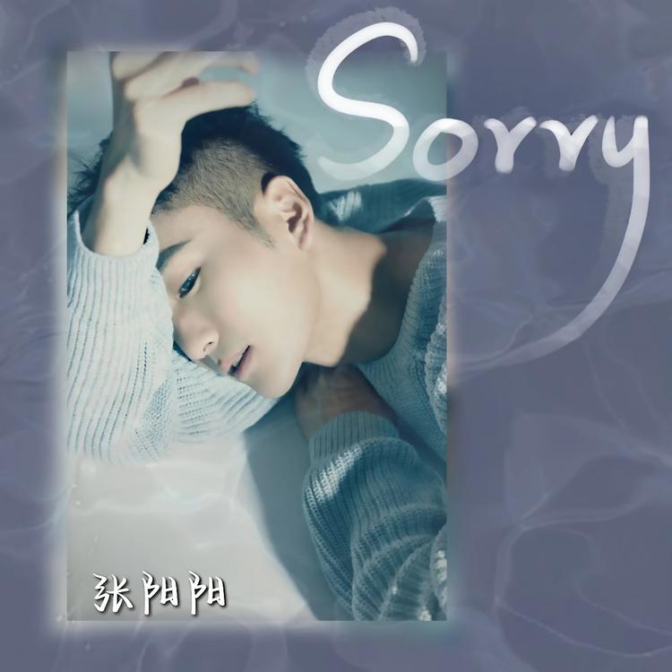张阳阳's avatar image