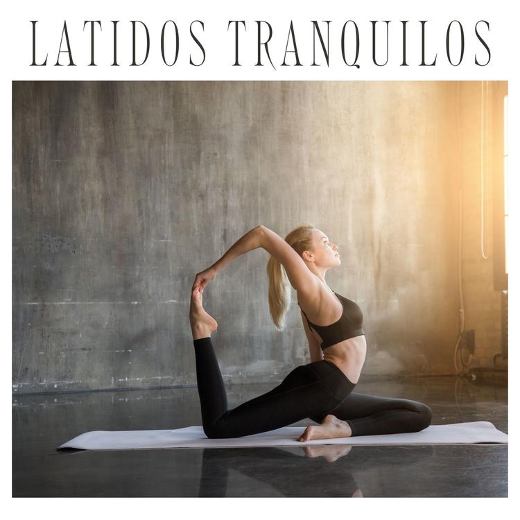 Yoga Meditación's avatar image