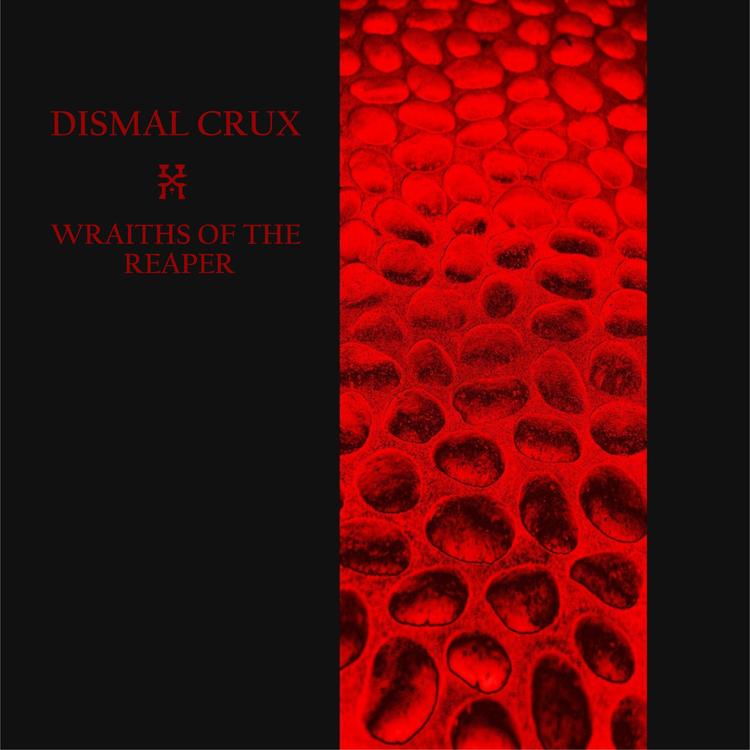 Dismal Crux's avatar image