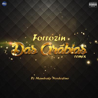 Forrózin das Arábias (Remix) By Dj Mandrake Nordestino's cover