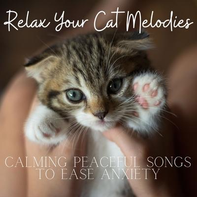 Music for Anxious Cats's cover