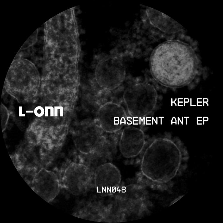 Képler's avatar image