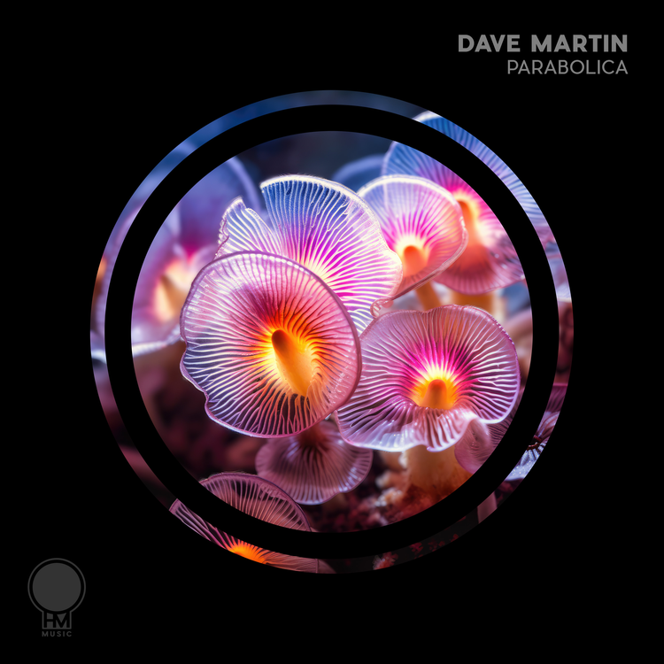 Dave Martin's avatar image