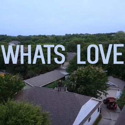 What's Love's cover