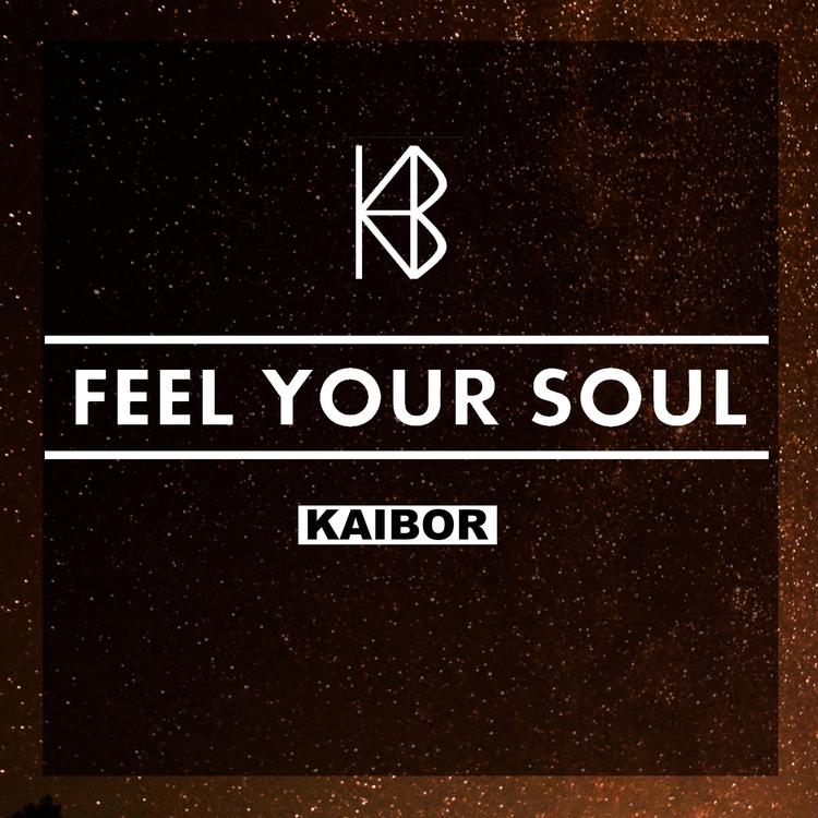 Kaibor's avatar image