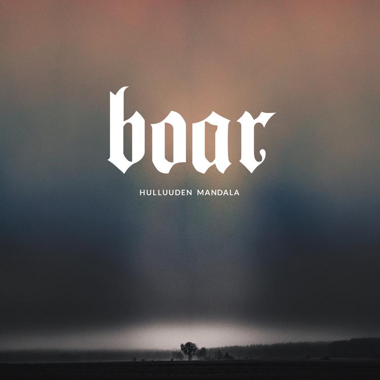 Boar's avatar image