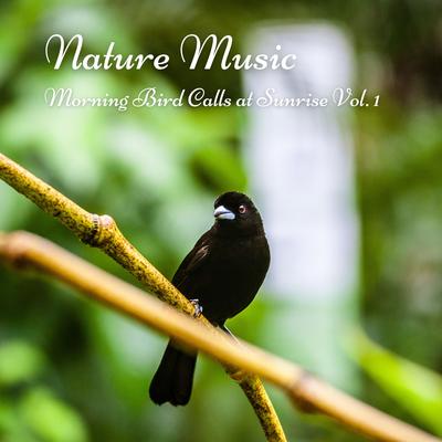Nature Music: Morning Bird Calls at Sunrise Vol. 1's cover