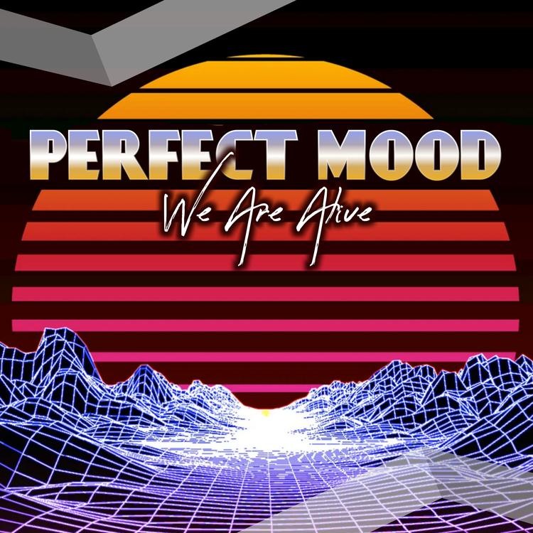 Perfect Mood's avatar image