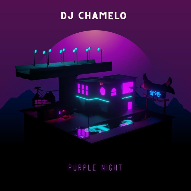 Dj Chamelo's avatar image