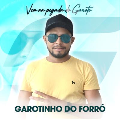 Baby Volta By Garotinho do Forró's cover