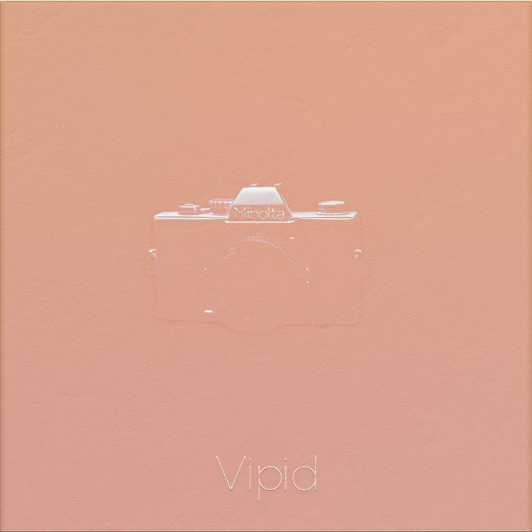Vipid's avatar image