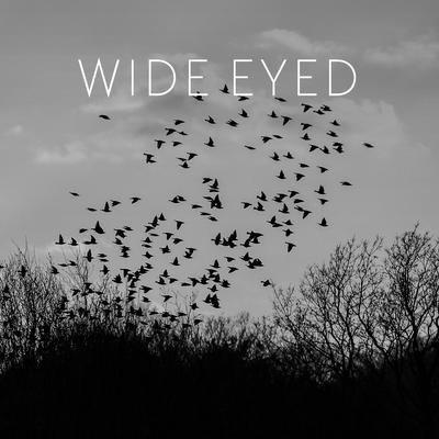 First Light (Solo Piano Version) By Wide Eyed's cover