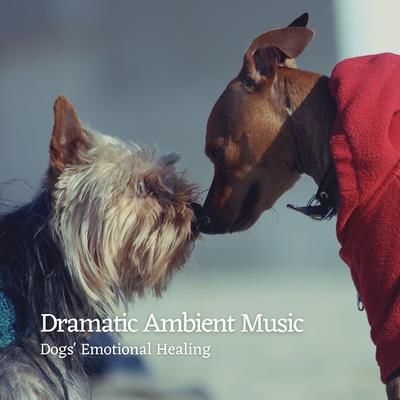 Dramatic Ambient Music: Dogs' Emotional Healing's cover