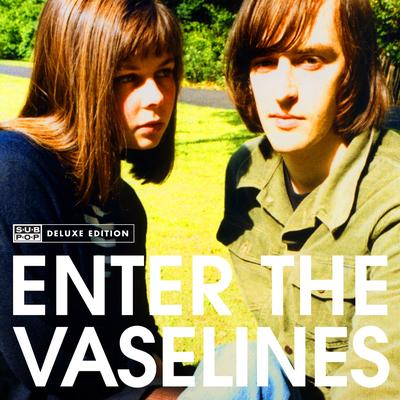 Teenage Superstars By The Vaselines's cover