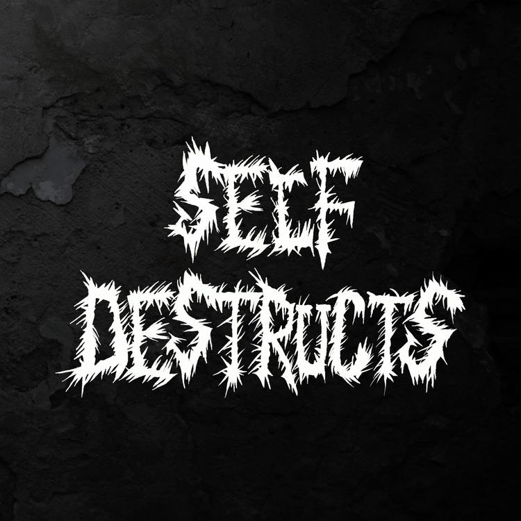 Self Destructs's avatar image