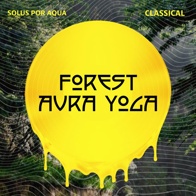 Forest's avatar image
