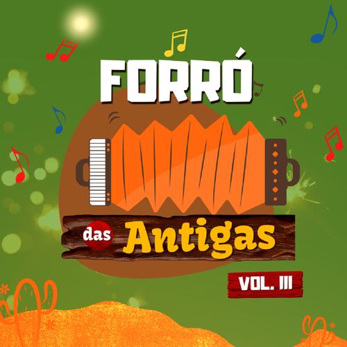 Brasas do forró's cover