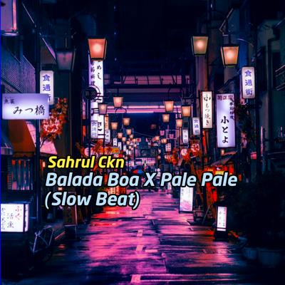 Balada Boa X Pale Pale (Slow Beat)'s cover