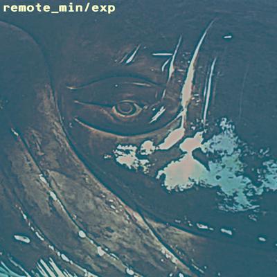 Remote_Min/Exp's cover