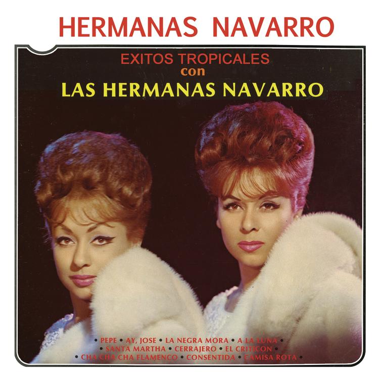 Hermanas Navarro's avatar image