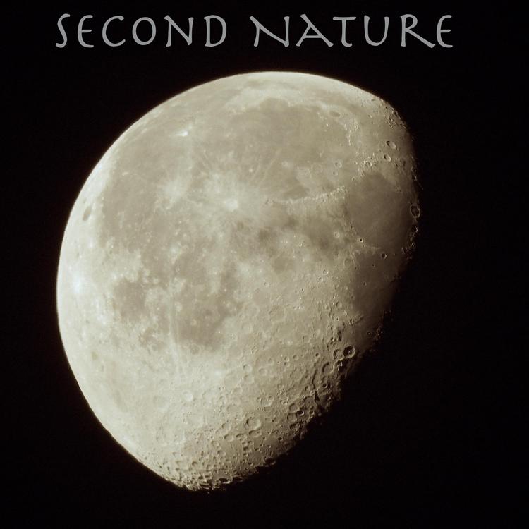 Second Nature Pt's avatar image