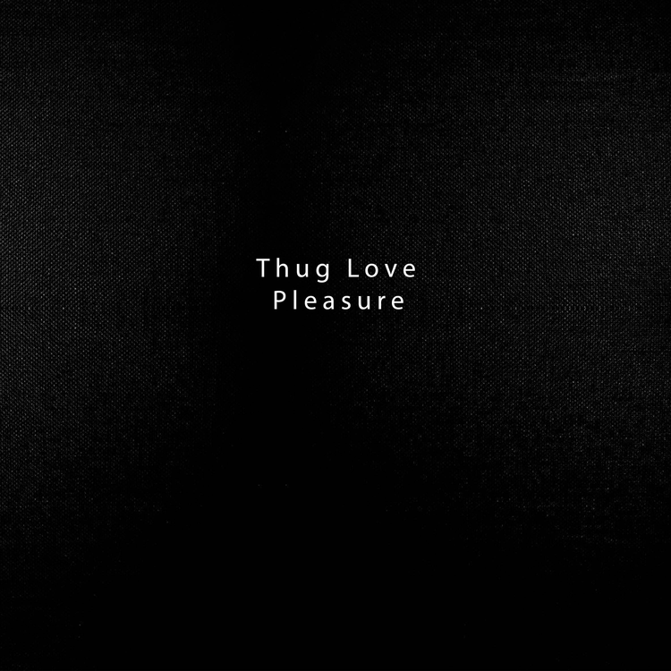 Pleasure's avatar image