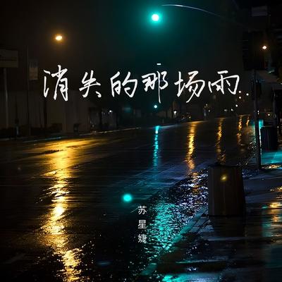 消失的那场雨's cover