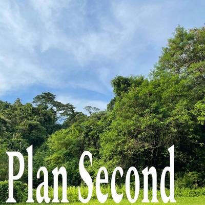 Plan Second's cover