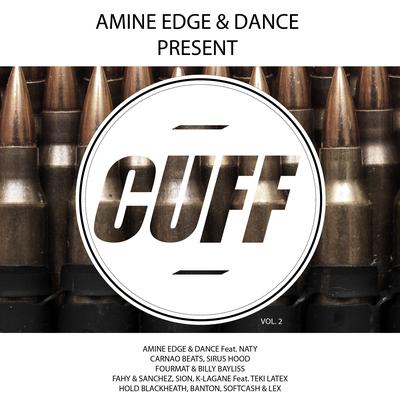 Your D Is My Passion (Feat. Naty) By Amine Edge & DANCE's cover