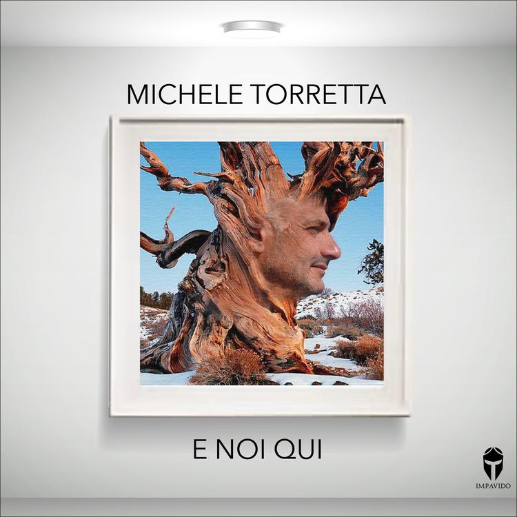 Michele Torretta's avatar image