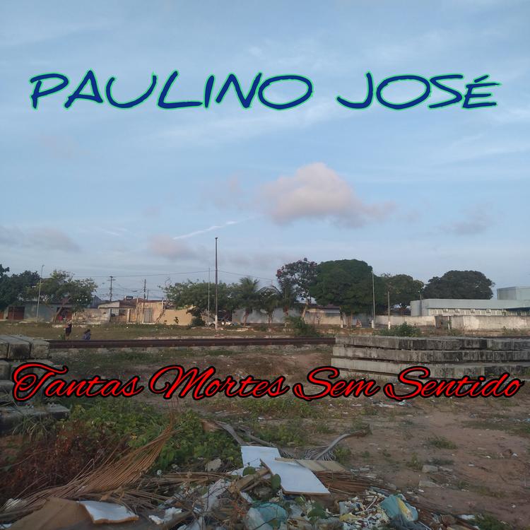 Paulino José's avatar image