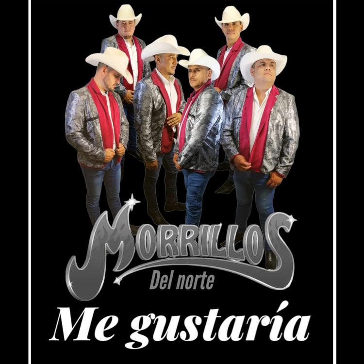 Morrillos Del Norte's avatar image