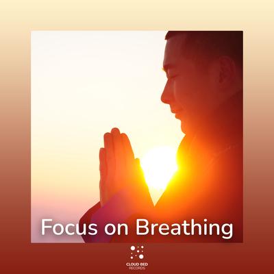 Can you imagine By Focus on Breathing, Relaxation Playlist's cover