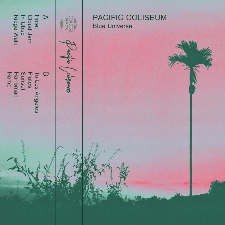 Pacific Coliseum's avatar image