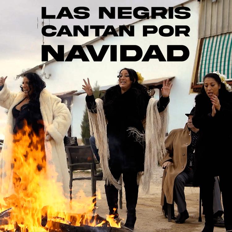 Las Negris's avatar image