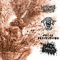 Fecal Devastation's avatar cover