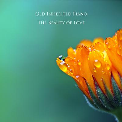 The Beauty of Love By Old Inherited Piano's cover