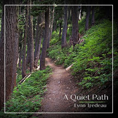 Hush of Night By Lynn Tredeau's cover