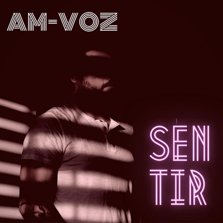Am Voz's avatar image