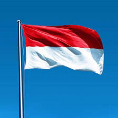 NATIONAL ANTHEM OF INDONESIA's cover