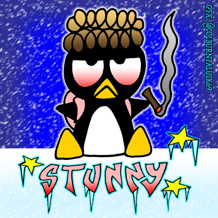 Stunny's avatar image