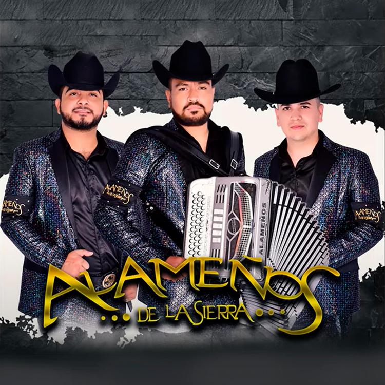 Alameños de la Sierra's avatar image