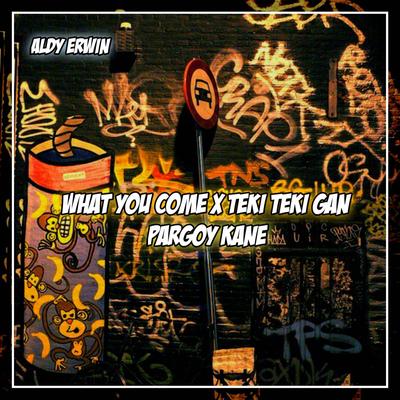 DJ WHAT YOU COME X TEKI TEKI GAN PARGOY KANE By Aldy Erwin's cover