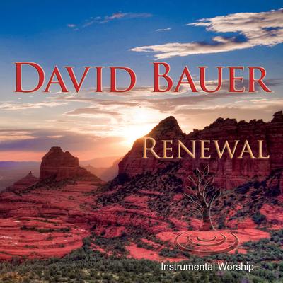 The Heart of Worship By David Bauer's cover