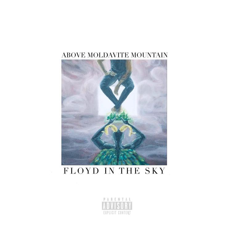 Floyd In The Sky's avatar image