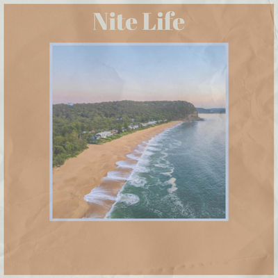 Nite Life By Willie Nelson's cover