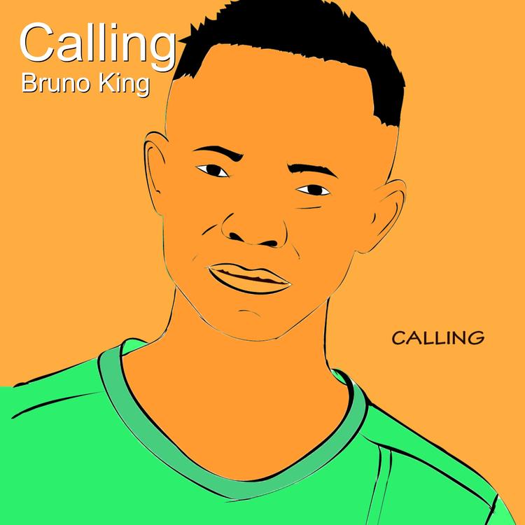Bruno King's avatar image