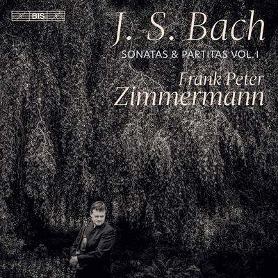 Violin Partita No. 3 in E Major, BWV 1006: II. Loure's cover