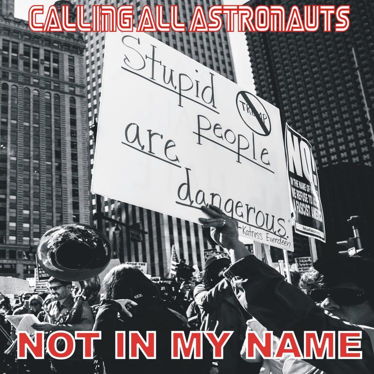 Calling All Astronauts's avatar image