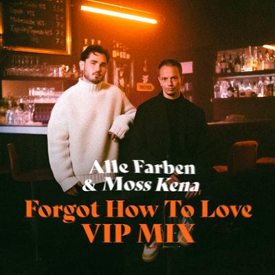 Forgot How to Love (VIP Mix)'s cover